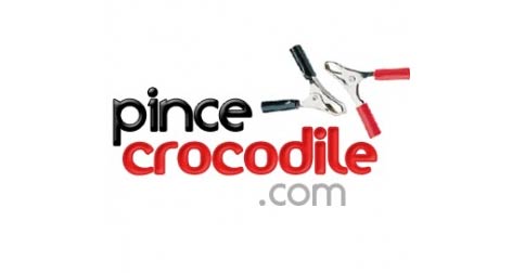 Pince Crocodile 1000A Pince Batterie Voiture Pince Voiture Batterie en  Cuivre, avec Gaine Isolante pour Batterie